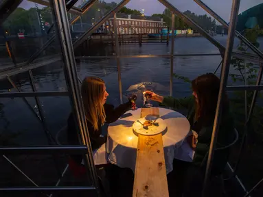 Pengunjung duduk bersulang dalam kabin kaca berkonsep  "quarantine greenhouses" selama uji coba, ketika Belanda berjuang melawan penyebaran COVID-19, di restoran Mediamatic, Amsterdam pada 5 Mei 2020. (AP/Peter Dejong)