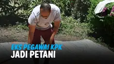 vertical petani