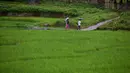 Pasangan suku Khasi melewati sawah saat hujan di sebuah desa di sepanjang perbatasan negara Assam-Meghalaya di India (11/9). Suku Khasi menyebut diri mereka sendiri Ki Khun U Hynñiewtrep, yang artinya "Anak-Anak dari Tujuh Gubuk". (AP Photo/Anupam Nath)