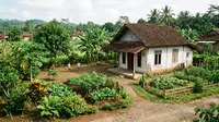 7 Desain Rumah 1 Lantai Atap Genteng Budget Rp50 Juta di Desa