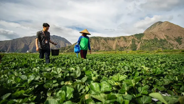 BRI Perluas Akses Keuangan dan Pemberdayaan Petani di Hari Tani Nasional