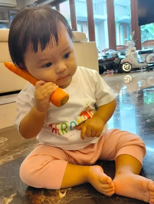 <p>Momen menggemaskan baby Ameena dengan wortel yang dipegangnya. "Jelasnya nga bisa tiap saat karena tugas tugas harus dibagi. Stay happy, sehat, positif dan semangat selalu kaum crown people," lanjut KD. [Instagram/krisdayantilemos]</p>