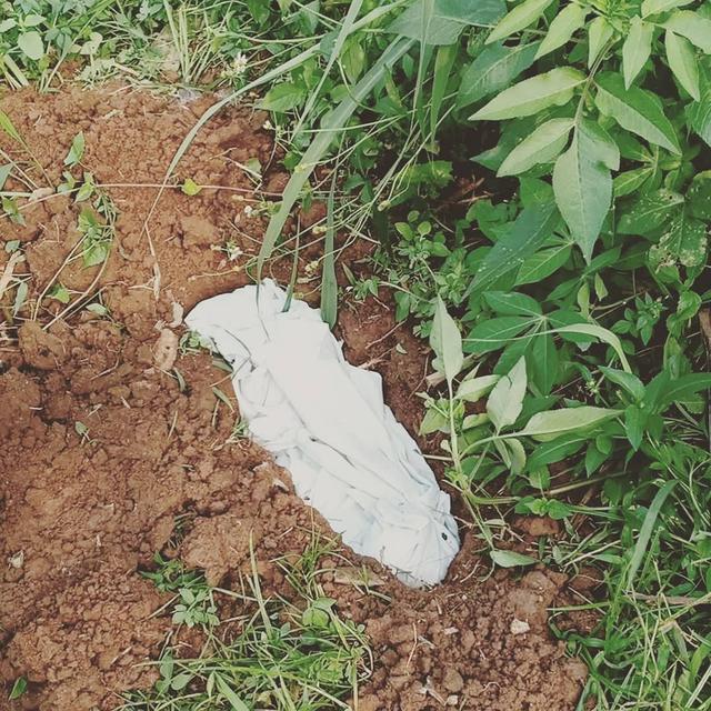 6 Momen Haru Umi Pipik Kuburkan Kucing Usai Kecelakaan, Bikin Tersentuh