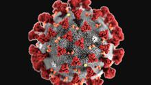 Ilustrasi Virus Corona 2019-nCoV (Public Domain/Centers for Disease Control and Prevention's Public Health Image)