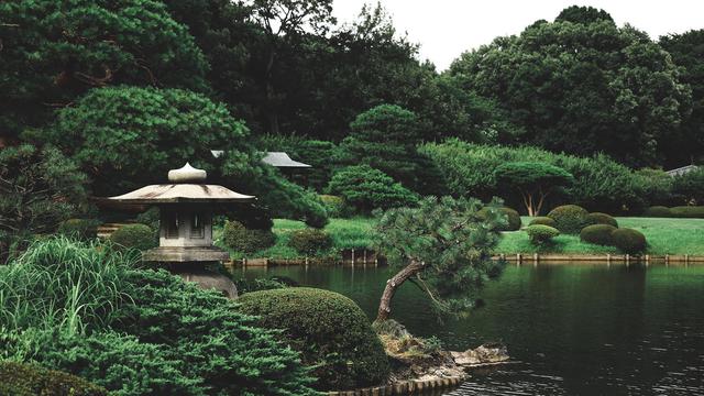 Ilustrasi taman asri