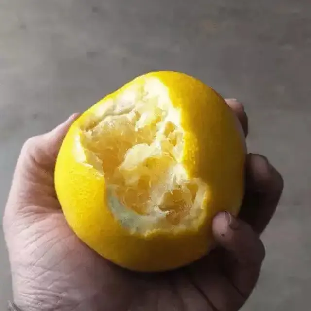 6 Potret Aksi Nyeleneh Orang Makan Kulit Buah Ini Bikin Enggak Habis Pikir