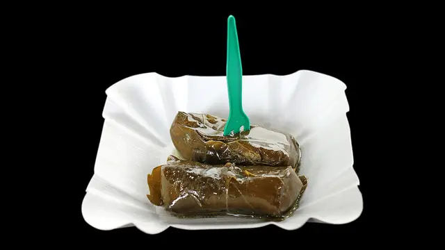 Ilustrasi Dolma