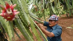 liputan6
