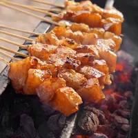 ilustrasi sate bakar/sukarman S.T/Shutterstock