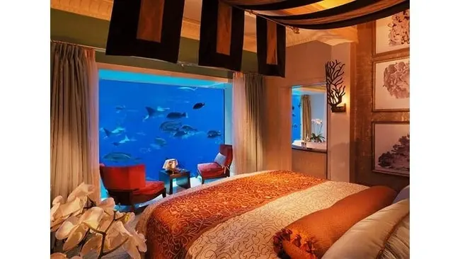 Rasakan sensasi tidur di bawah laut dengan menginap di hotel berikut ini. (Foto: Purewow.com)
