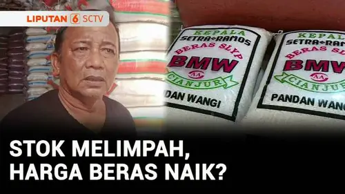 Stok Melimpah, Harga Beras Premium Naik Jadi Rp14.000 per Kg