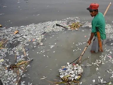 Pekerja mengumpulkan ikan mati yang hanyut ke daratan Freedom Island di sepanjang Teluk Manila, Filipina, Jumat (11/10/2019). Pejabat Departemen Pertanian mengatakan pemerintah mencurigai kematian ribuan ikan tersebut disebabkan oleh penceman air di Teluk Manila. (Ted ALJIBE/AFP)