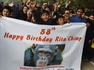 Anak-anak sekolah India membawa spanduk untuk merayakan ulang tahun simpanse bernama Rita yang berusia 58 tahun di sebuah kebun binatang di New Delhi (14/12). Rita merupakan simpanse tertua di India yang kini usianya 58 tahun. (AFP Photo/Money Sharma)