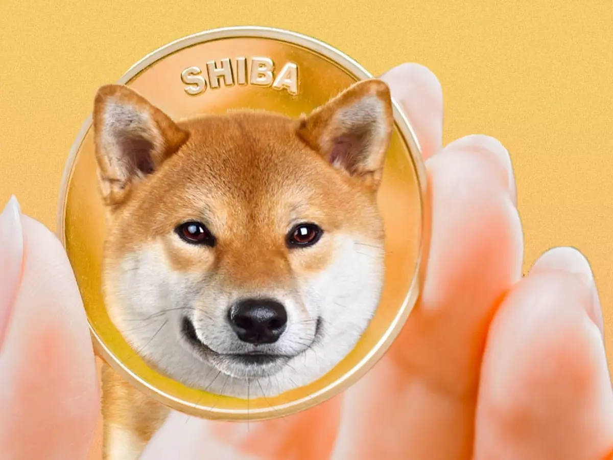 Shiba hotsell inu harga