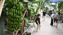 Wisatawan mengunjungi rumah kaca buah-buahan tropis di Wanchang, Wilayah Yongji, di Kota Jilin, Provinsi Jilin, China (12/8/2020). Guna mewujudkan optimisasi struktur pertanian, Wilayah Yongji telah mendorong petani lokal untuk menanam buah-buahan tropis seperti pepaya dan pisang. (Xinhua/Xu Chang)