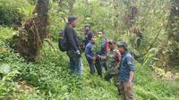 Penemuan ladang ganja di kawasan dekat Taman Nasional Bromo, Tengger, Semeru. (dok. Biro Humas KLHK)