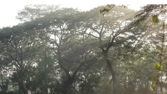 Tempat Wisata Gratis di Surabaya
