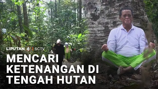 Mencari Ketenangan di Tengah Hutan