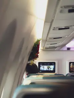 Ilustrasi isi kompartemen yang menjadi incaran komplotan pencuri di pesawat. (dok. Bao Menglong/Unsplash)