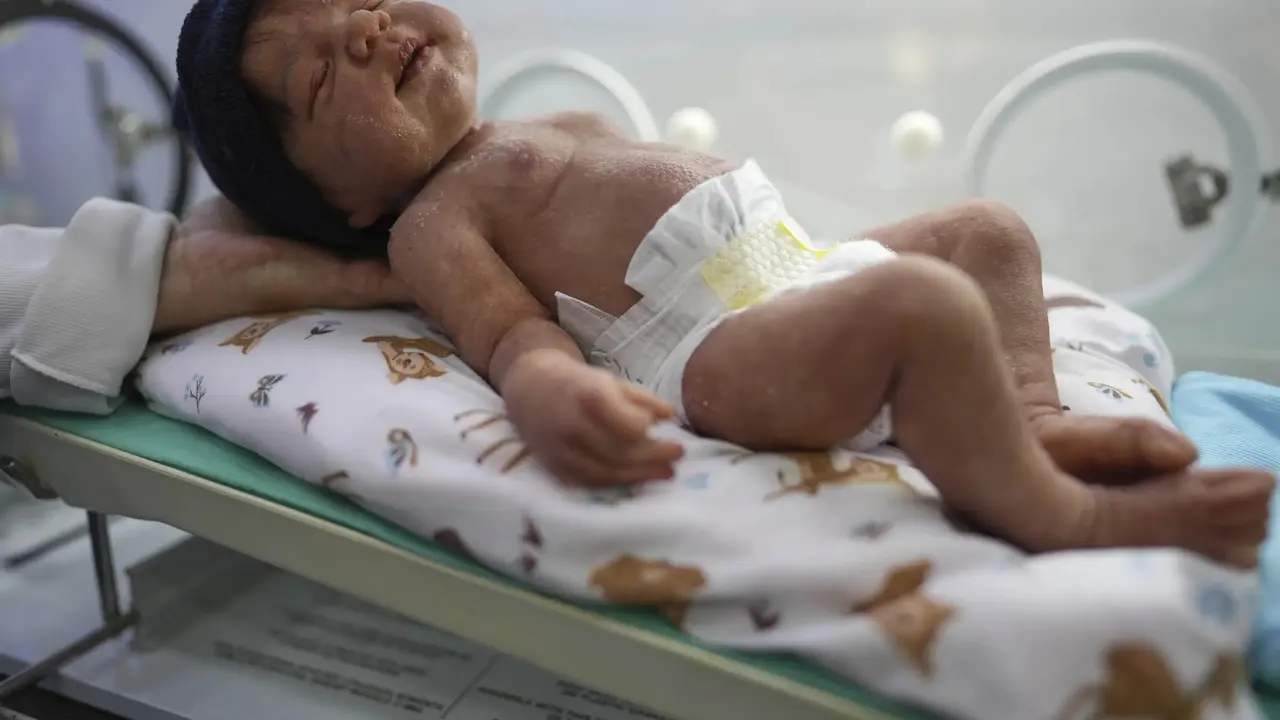 Boneka bayi realistis di dalam inkubator dijual di sebuah toko di Campinas, Brasil, Sabtu, 24 Mei 2025. (Foto AP/Andre Penner)