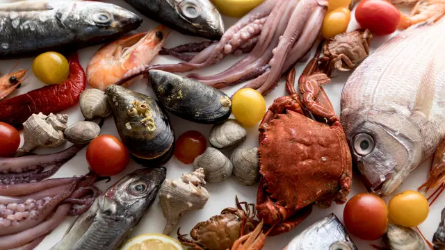 ilustrasi ikan laut