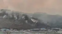 Kebakaran Hutan Korea Selatan Picu Status Darurat