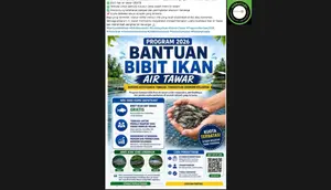 Cek Fakta: Tidak Benar Link Pendaftaran Bantuan Bibit Ikan Nila dan Lele Gratis 2026