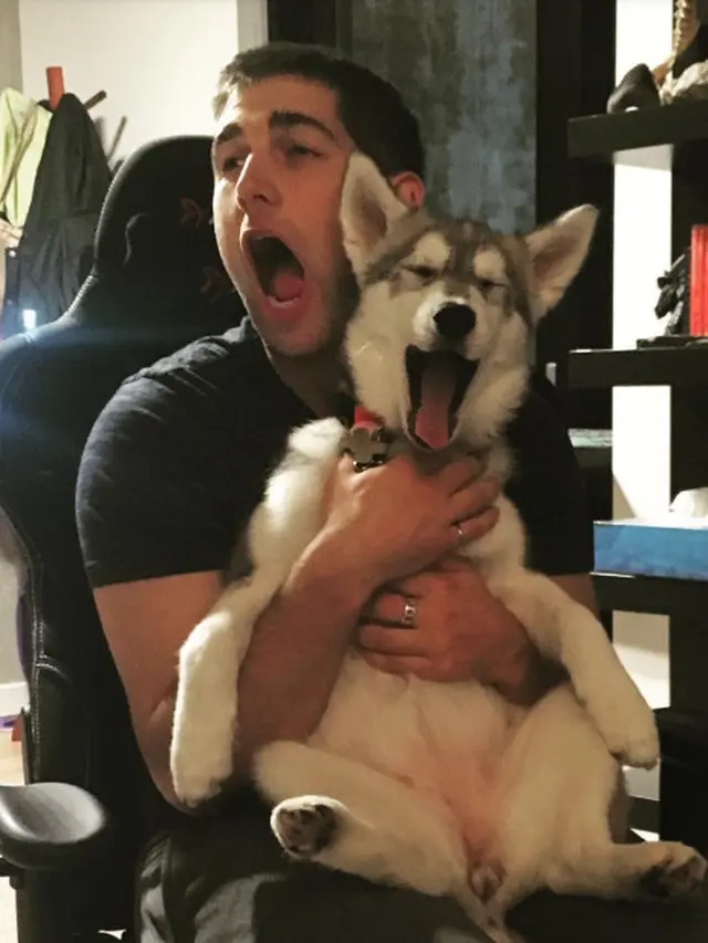 Anjing yang mirip dengan hewan peliharaannya.