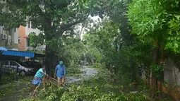 Sejumlah pohon tumbang akibat terjangan angin kencang dan hujan lebat di Chennai pada tanggal 4 Desember 2023. (R. Satish BABU/AFP)