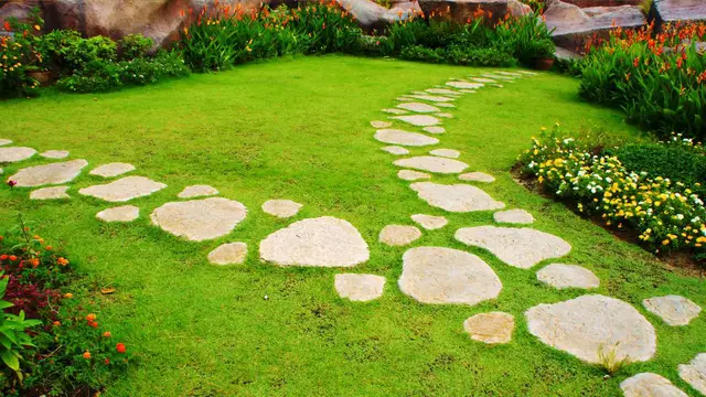 Jenis Rumput TamanPercantik Taman dengan Stepping Stone-Rumah.com