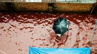 Pemotongan sekitar 100 ribu hewan kurban bercampur dengan luapan saluran air di Dhaka dan menyebabkan 'banjir darah'. (Sumber newscrunch.in)
