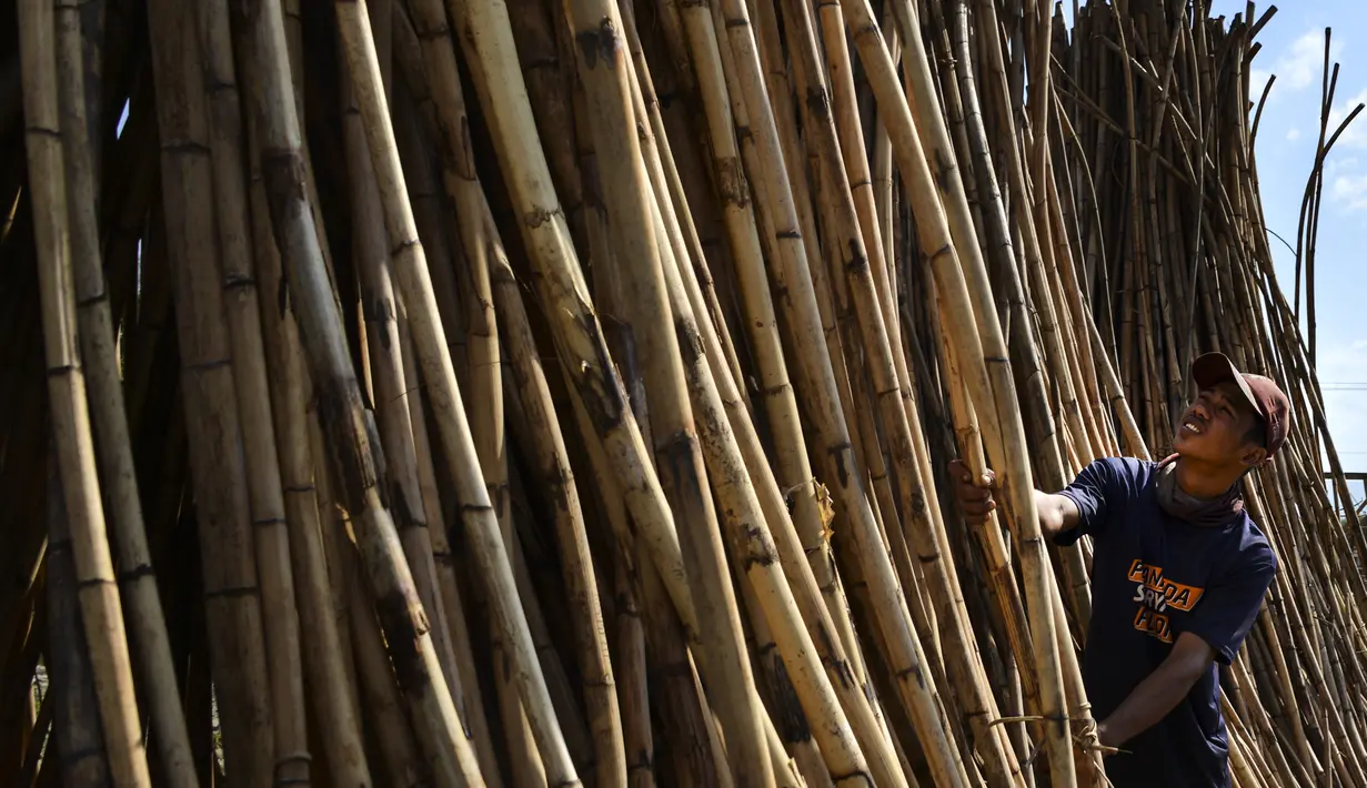 Seorang pekerja mengeringkan rotan untuk diekspor di sebuah bengkel di Banda Aceh (7/1/2020). Setiap tahunnya, Aceh mampu memproduksi sekitar ratusan ribu ton rotan. (AFP Photo/Chaideer Mahyuddin)