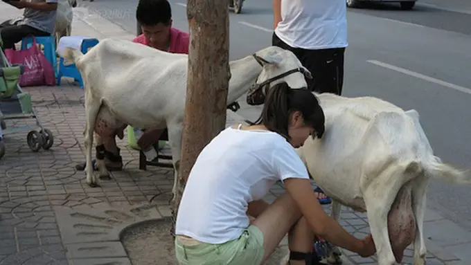 Photo: Copyright shanghaiist.com