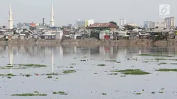 Suasana Waduk Pluit yang banyak tumbuh enceng gondok, Jakarta, Senin (17/12). Kurangnya perhatian serta perawatan menyebabkan tanaman yang berpotensi menjadi hama tersebut kembali tumbuh dan berkembang di Waduk Pluit. (Liputan6.com/Immanuel Antonius)