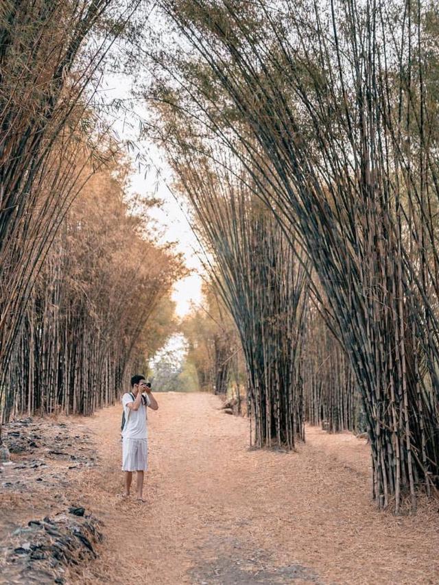 Hutan Bambu (Sumber: Explore Surabaya/Instagram)