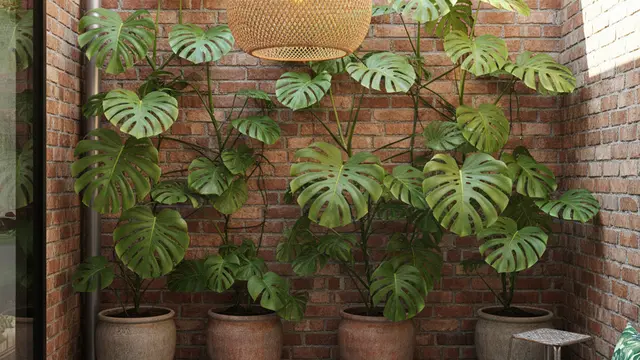 Model Teras Rumah Mungil yang Asri dengan Pot Tanaman Rambat. AI