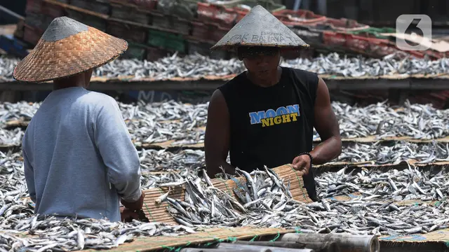 Produksi Ikan Asin Tidak Berpengaruh dengan cuaca