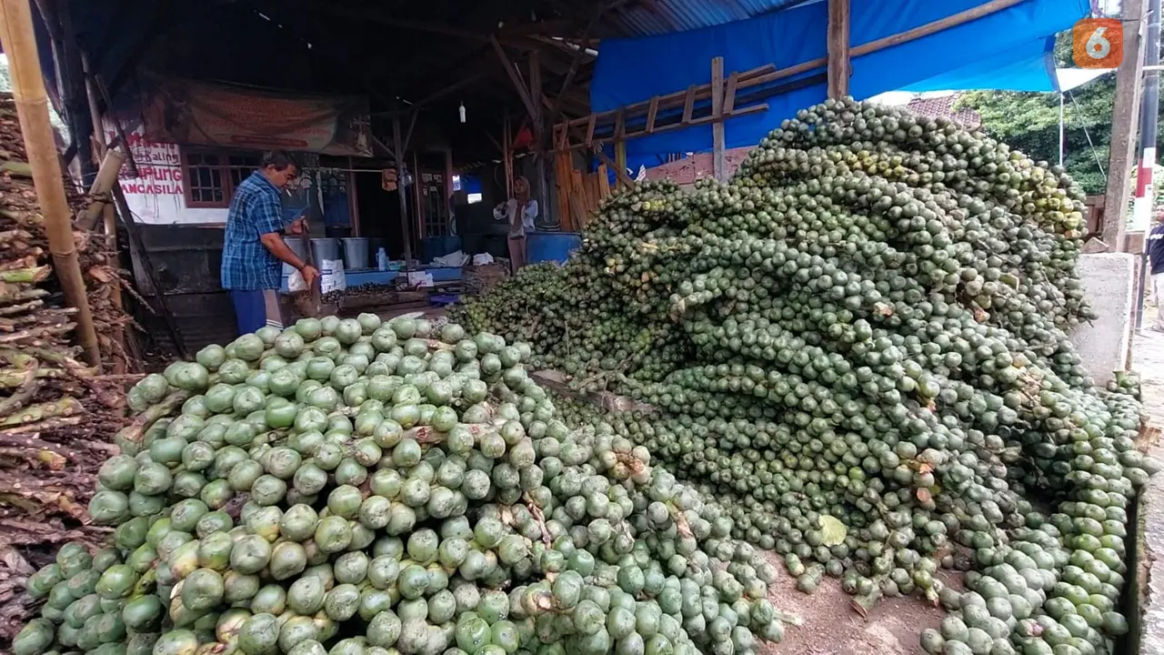 Pedagang kolang-kaling di Bandar Lampung kebanjiran pesanan menjelang Ramadan 2025. Foto : (Liputan6.com/Ardi).