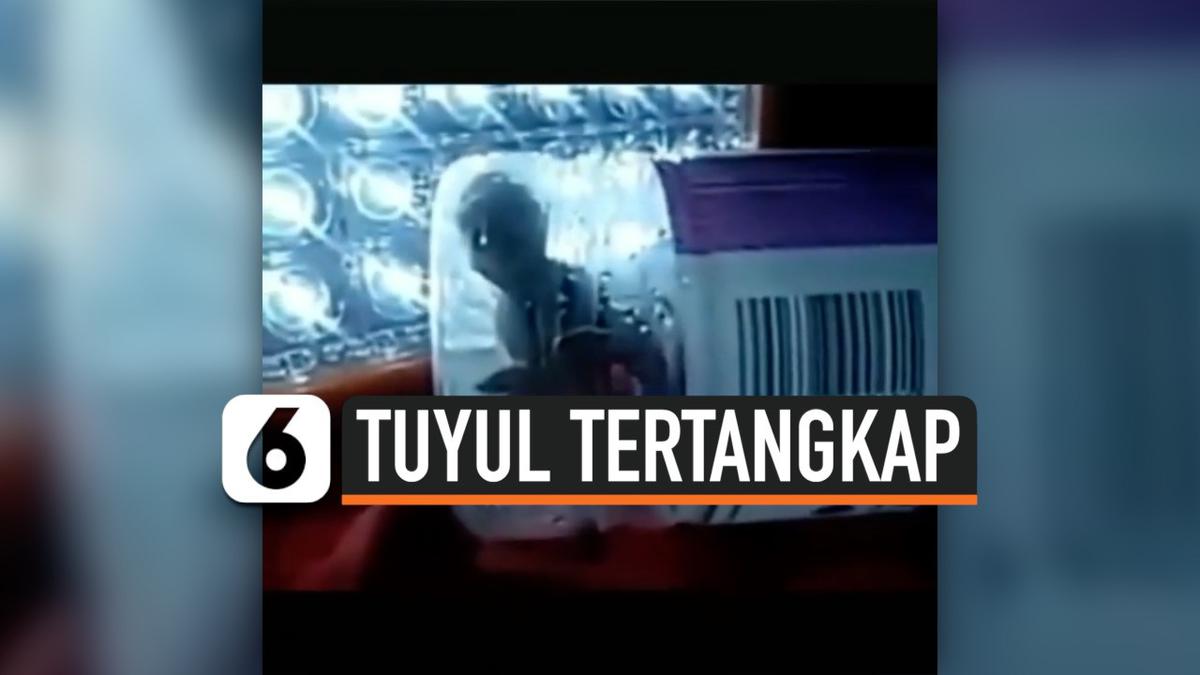 Video Geger Penampakan Diduga Tuyul Tertangkap Warga Palembang Regional Liputan6 Com