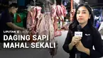 Sadarkah Anda kalau harga daging sapi sudah tidak turun sejak Idulfitri? Saking lamanya membuat harga daging sapi Rp180 ribu per kilogram seolah normal. Imbas tingginya harga, pedagang daging sapi hingga pedagang bakso mulai menjerit karena rugi.