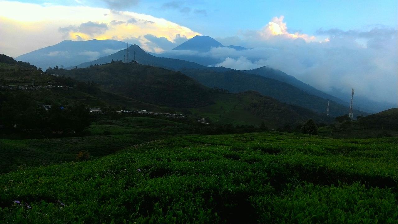 Pemandangan Gunung Gede Pangrango, di wilayah Bogor dan Sukabumi, Jawa Barat. (Liputan6.com/Achmad Sudarno)