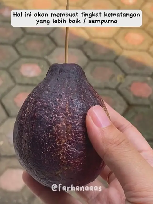 Tanpa Beras, Alpukat yang Keras Bisa Cepat Matang dengan 1 Alat Sederhana Saja