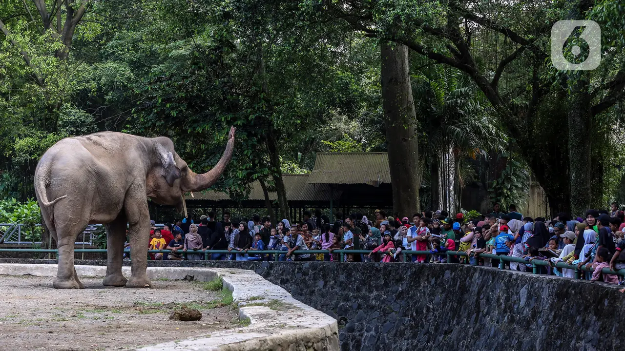 Libur Lebaran 2023, Pengunjung Taman Margasatwa Ragunan Membludak