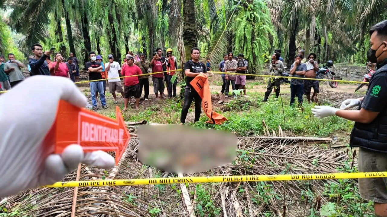 Polisi melakukan olah TKP penemuan jasad pelajar SMK di tengah kebun sawit di Tulang Bawang, Lampung.