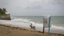 Seorang pria duduk di depan pantai menyaksikan ombak pecah sebelum kedatangan Badai Tropis Fiona di San Juan, Puerto Rico, Sabtu (17/9/2022). Fiona diperkirakan akan menjadi badai saat mendekati Puerto Rico dan akan melintasi wilayah teritori Amerika Serikat pada Minggu pagi. (AP Photo/Alejandro Granadillo)