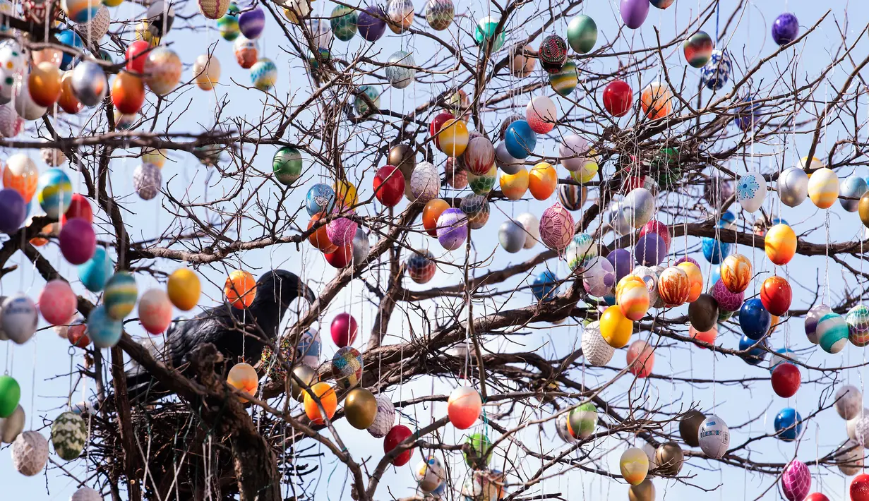 Seekor burung di antara 10.000 telur paskah warna-warni menghiasi pohon robinia di kota Saalfeld, Jerman, Jumat (30/3). Pohon Paskah, merupakan tradisi lain yang berumur berabad-abad dan dibuat dari pohon atau semak kecil yang masih hidup. (AP/Jens Meyer)