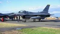 Jet Tempur Angkatan Udara Filipina Hilang Kontak di Cebu