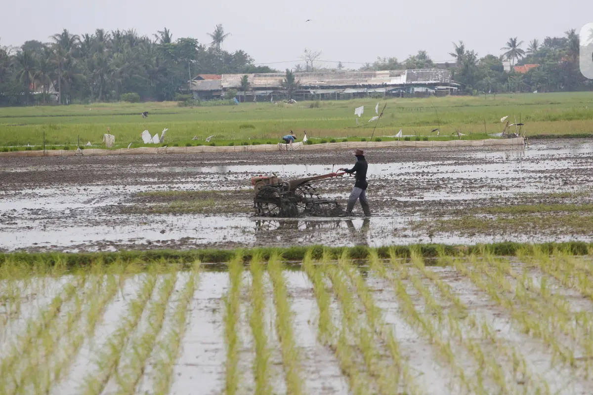 Sektor Pertanian Bisa Bertahan di Tengah Pandemi
