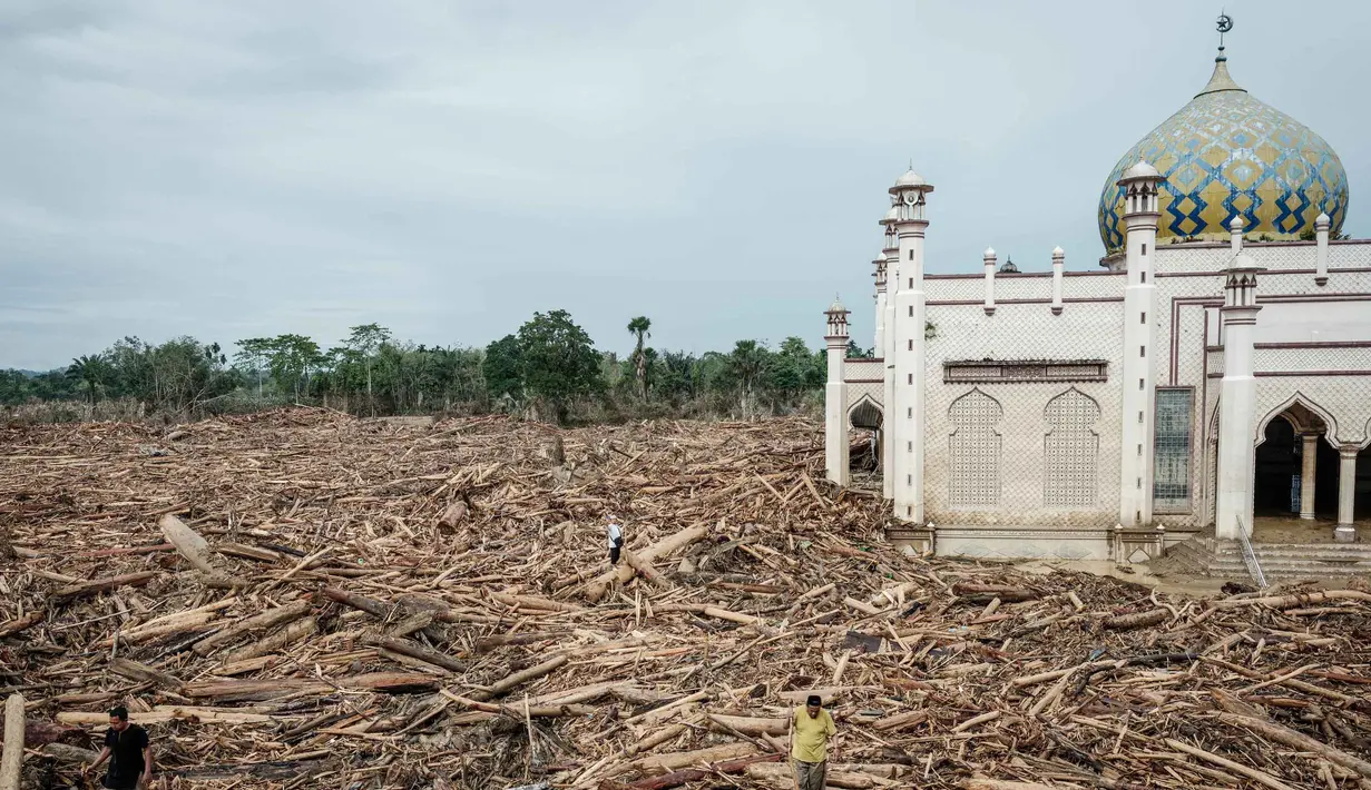 Akses menuju bangunan dan asrama hanya bisa dilalui dengan memanjat tumpukan kayu. Tampak dalam foto, para pria berjalan di atas tumpukan pohon tumbang yang tersapu banjir bandang sekitar tiga minggu lalu di Pesantren Darul Mukhlisin dan masjid yang terhubung dengan pesantren tersebut di Aceh Tamiang, pada Minggu 14 Desember 2025. (Yasuyoshi CHIBA/AFP)