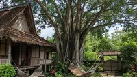 7 Desain Rumah Desa dengan Pohon Besar di Tengah Halaman yang Teduh dan Asri